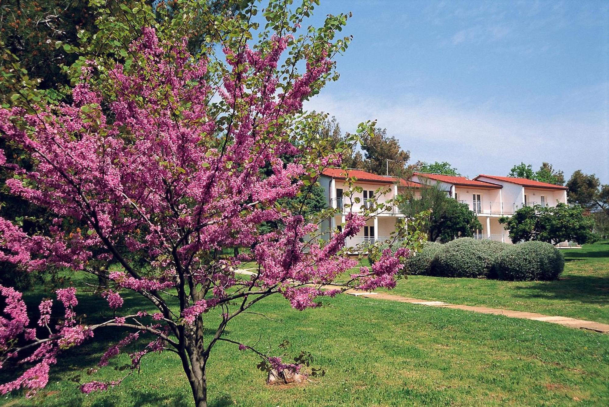 Ai Pini Medulin Resort Екстериор снимка